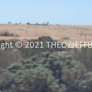 ROzCh92-34 | Travelling Around Australia with Jeff Banks