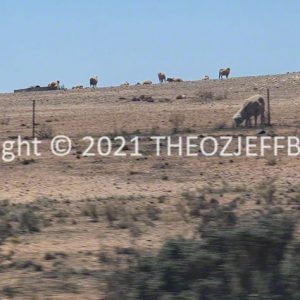 ROzCh92-35 | Travelling Around Australia with Jeff Banks