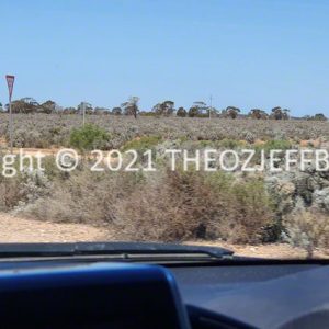 ROzCh92-44 | Travelling Around Australia with Jeff Banks