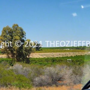 ROzCh92-51 | Travelling Around Australia with Jeff Banks