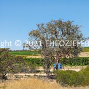 ROzCh92-52 | Travelling Around Australia with Jeff Banks