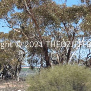 ROzCh92-55 | Travelling Around Australia with Jeff Banks