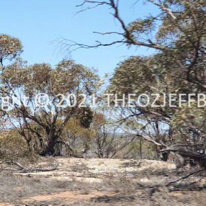 ROzCh92-56 | Travelling Around Australia with Jeff Banks
