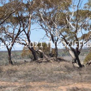 ROzCh92-57 | Travelling Around Australia with Jeff Banks