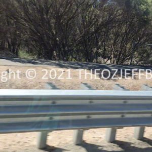 ROzCh92-73 | Travelling Around Australia with Jeff Banks