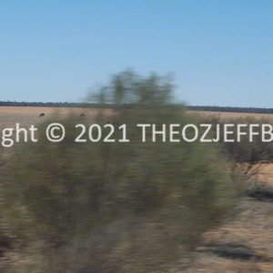 ROzCh92-89 | Travelling Around Australia with Jeff Banks