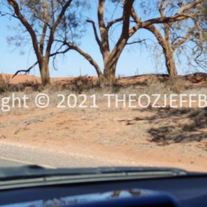 ROzCh92-99 | Travelling Around Australia with Jeff Banks
