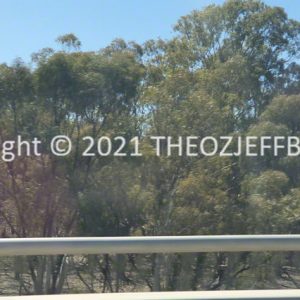 ROzCh93-31 | Travelling Around Australia with Jeff Banks