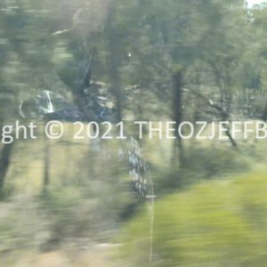 ROzCh93-34 | Travelling Around Australia with Jeff Banks