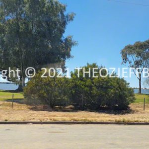ROzCh93-44 | Travelling Around Australia with Jeff Banks