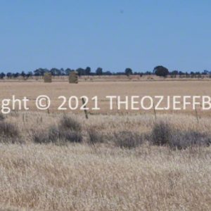 ROzCh93-56 | Travelling Around Australia with Jeff Banks