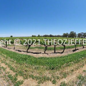 ROzCh95-21P | Travelling Around Australia with Jeff Banks
