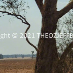 ROzCh96-15 | Travelling Around Australia with Jeff Banks