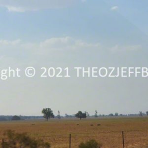 ROzCh96-19