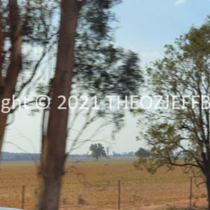ROzCh96-20