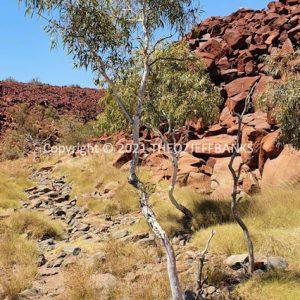 SSNMCh10-76C | Travelling Around Australia with Jeff Banks