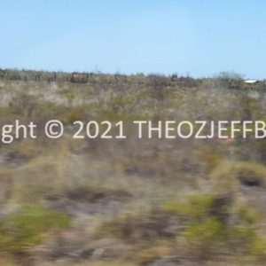 SSNMCh12-32.jpg | Travelling Around Australia with Jeff Banks