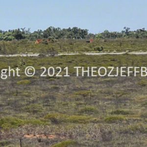 SSNMCh12-50.jpg | Travelling Around Australia with Jeff Banks