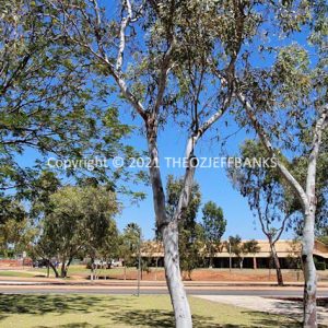 SSNMCh14-20C | Travelling Around Australia with Jeff Banks