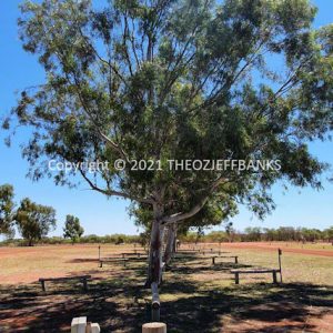 SSNMCh15-35C | Travelling Around Australia with Jeff Banks