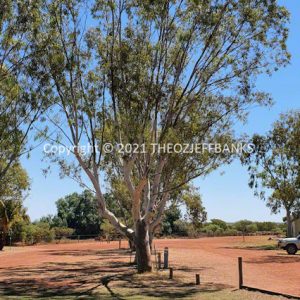 SSNMCh15-39C | Travelling Around Australia with Jeff Banks