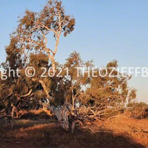 SSNMCh6-23C | Travelling Around Australia with Jeff Banks