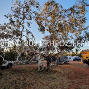 SSNMCh6-24C | Travelling Around Australia with Jeff Banks
