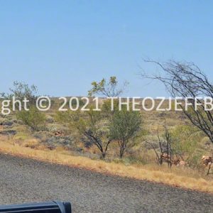 SSNMCh7-73 | Travelling Around Australia with Jeff Banks