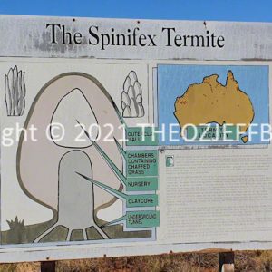 SSNMCh8-204 | Travelling Around Australia with Jeff Banks