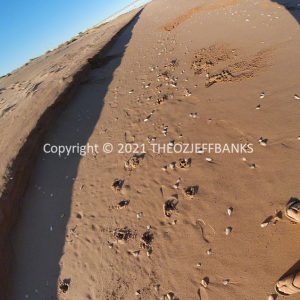 SSNMCh8-87 | Travelling Around Australia with Jeff Banks