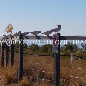 SSNMCh9-142 | Travelling Around Australia with Jeff Banks