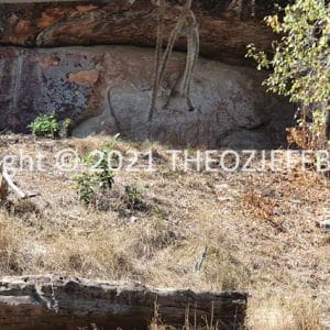 HWGACh59-47 | Travelling Around Australia with Jeff Banks
