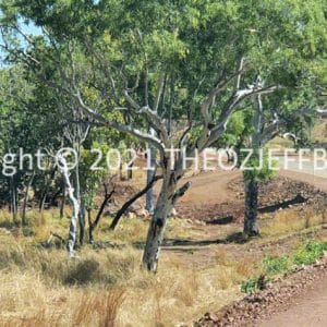 HWGACh66-32C | Travelling Around Australia with Jeff Banks