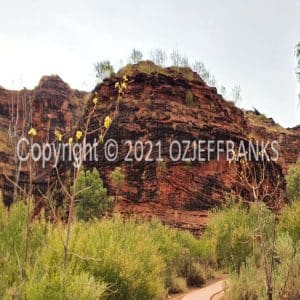 HWGACh71-123 | Travelling Around Australia with Jeff Banks