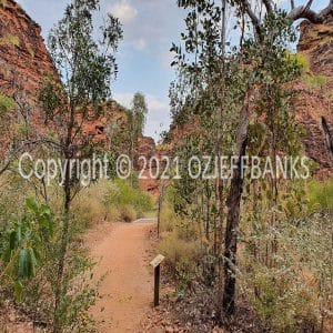 HWGACh71-131R | Travelling Around Australia with Jeff Banks