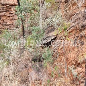 HWGACh71-158 | Travelling Around Australia with Jeff Banks