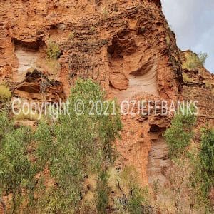 HWGACh71-159 | Travelling Around Australia with Jeff Banks