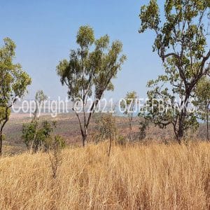 HWGACh71-31 | Travelling Around Australia with Jeff Banks