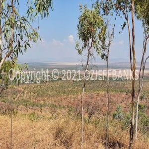 HWGACh71-32 | Travelling Around Australia with Jeff Banks