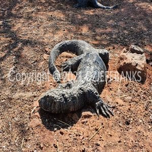 HWGACh71-54 | Travelling Around Australia with Jeff Banks