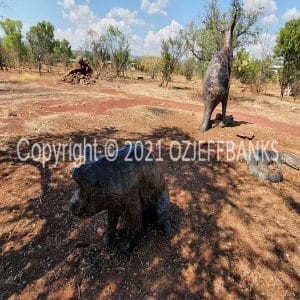 HWGACh71-56 | Travelling Around Australia with Jeff Banks