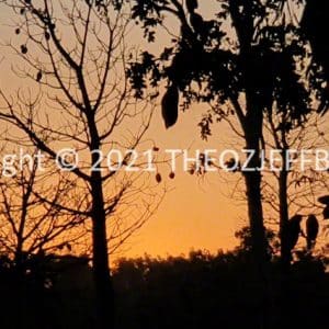HWGACh73-59S | Travelling Around Australia with Jeff Banks