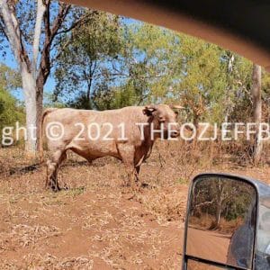 HWGACh76-01 | Travelling Around Australia with Jeff Banks