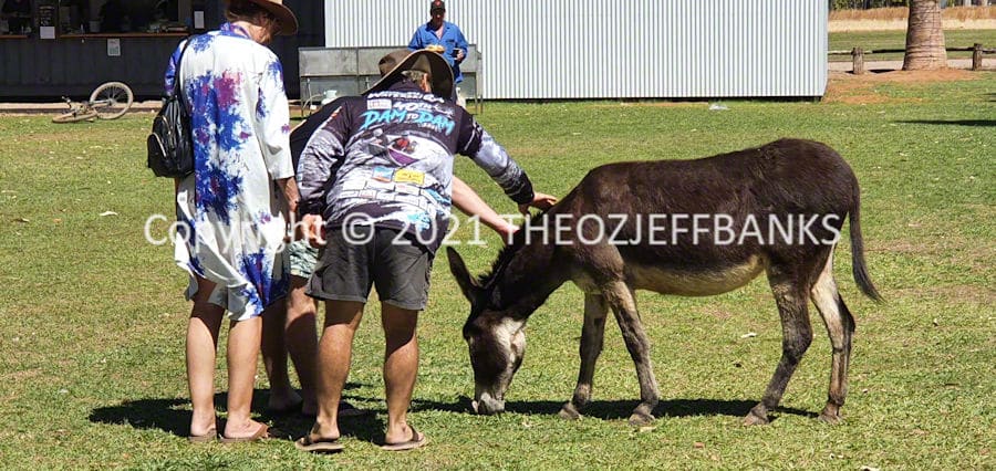 Here We Go Again - Chapter 75 - El Questro Day 4 | Travelling Around Australia with Jeff Banks