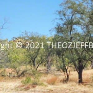 HWGACh77-33 | Travelling Around Australia with Jeff Banks