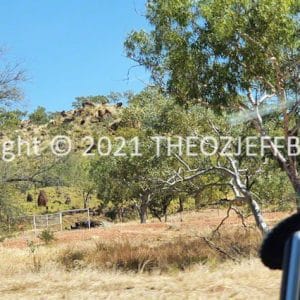HWGACh77-34 | Travelling Around Australia with Jeff Banks