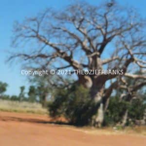 HWGACh78-100 | Travelling Around Australia with Jeff Banks