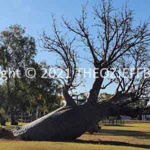 HWGACh78-144C | Travelling Around Australia with Jeff Banks