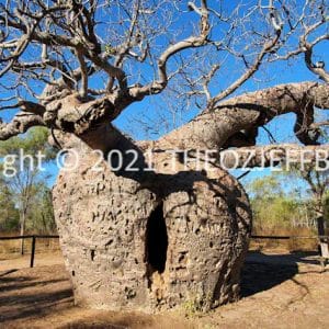 HWGACh78-156C | Travelling Around Australia with Jeff Banks