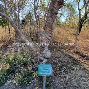 HWGACh78-158C | Travelling Around Australia with Jeff Banks